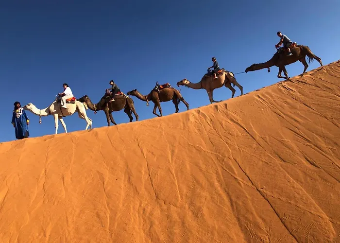 Riad Les jardins de Merzouga