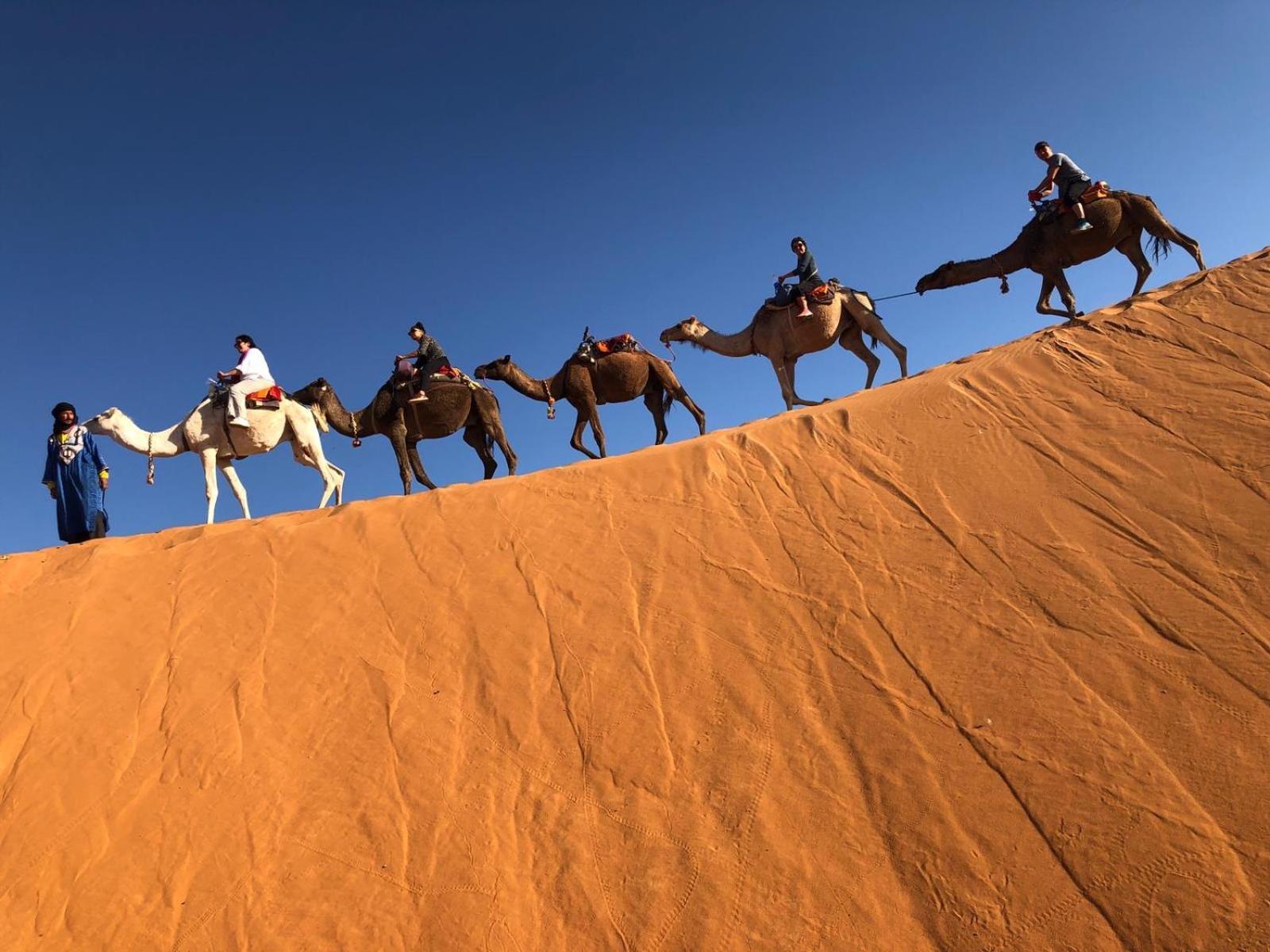 Les Jardins De Merzouga